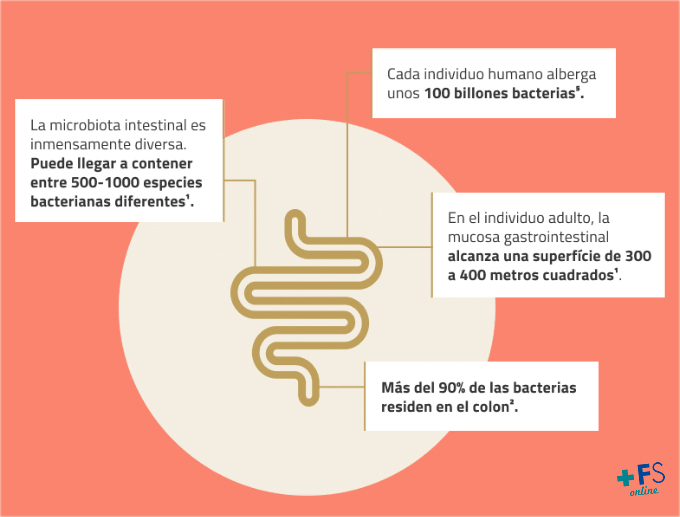 MICROBIOTA Y MICROBIOMA