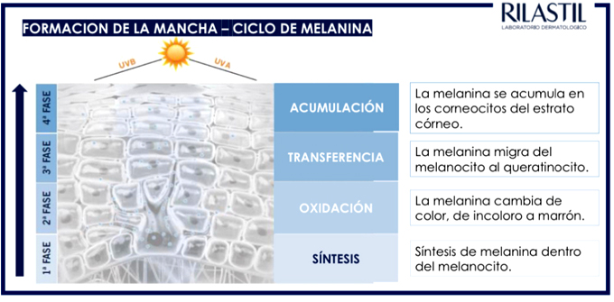Rilastil-manchas-d-clar