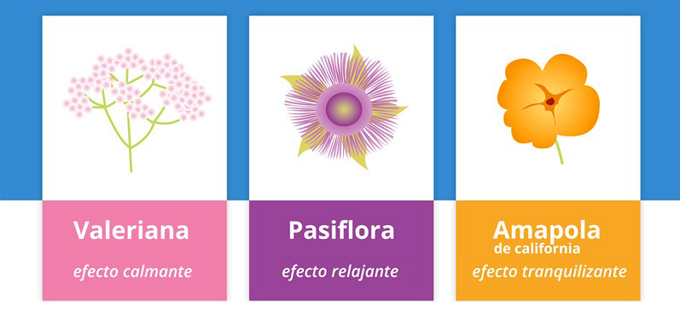 serenia-bayer-plantas-sueño