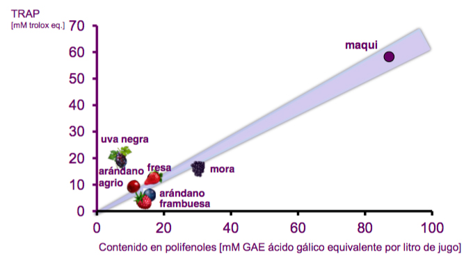 maqui, el antioxidante más potente