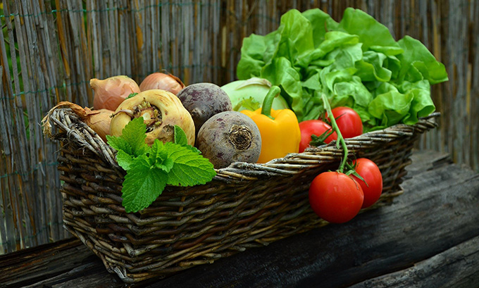 verdura bio etiqueta alimentos